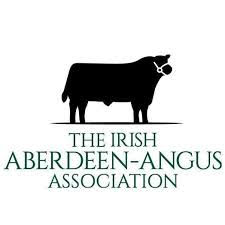 Denis Barrett - Irish Aberdeen Angus