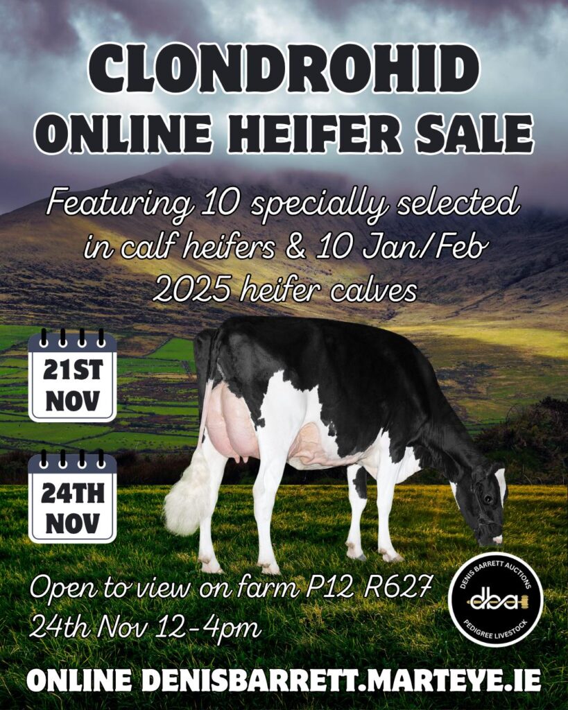 PHOTO-2025-10-28-14-56-20