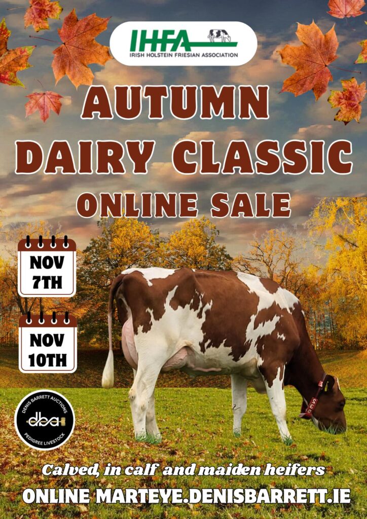 PHOTO-2025-10-30-15-33-06