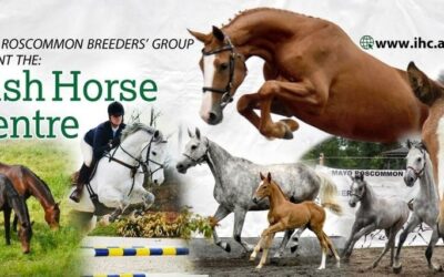 3rd Edition of  the Mayo Roscommon Breeder’s Group – Select Foal Sale Success